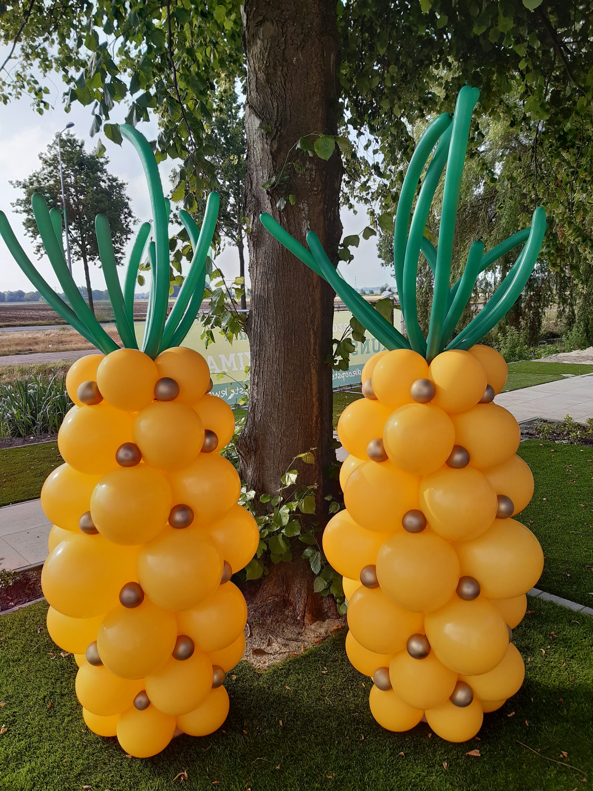 Ananas
